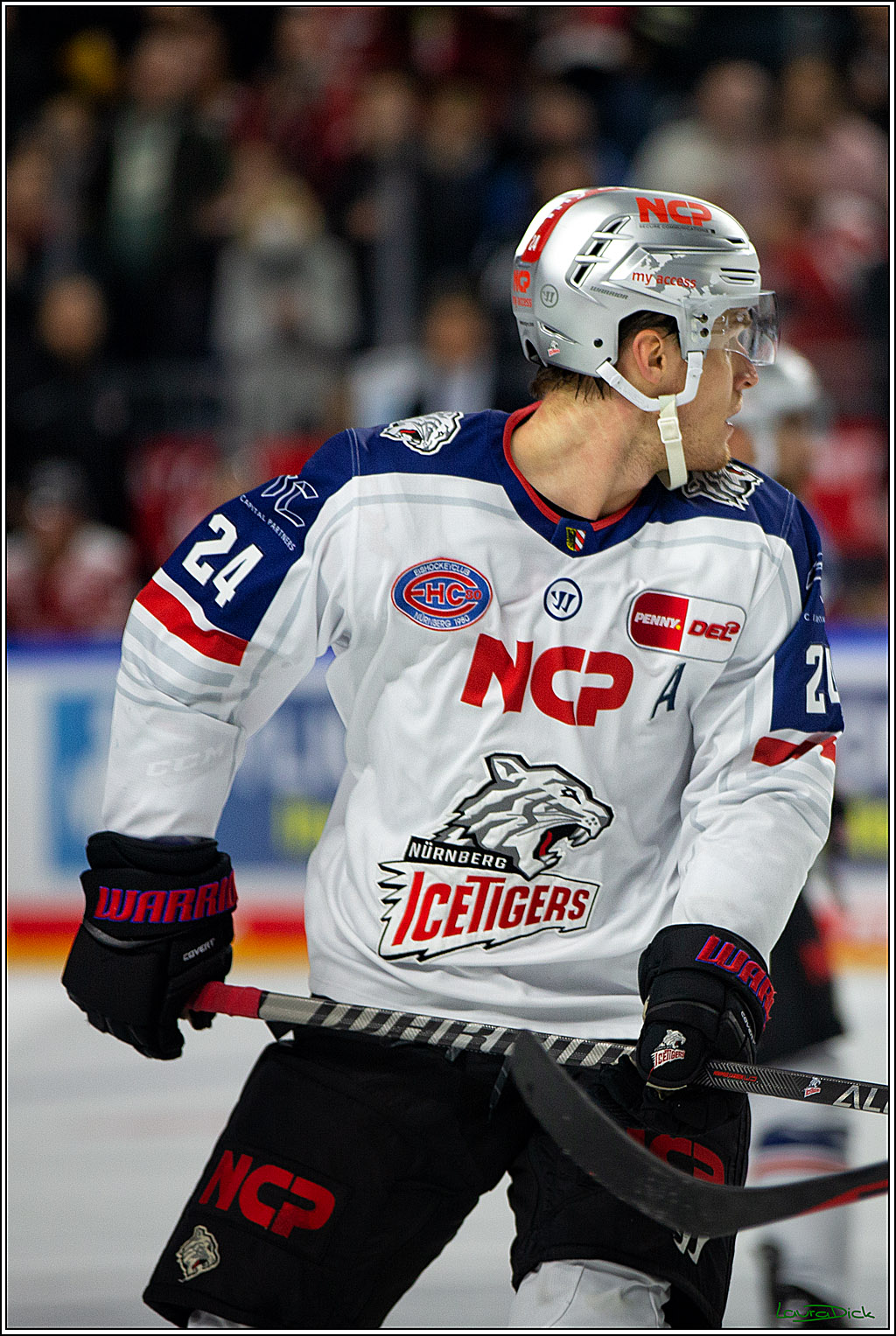 PENNY DEL; Koelner Haie- Nuernberger Ice Tigers; Koeln, 18.11.2022
